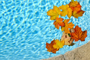 Backyard swimming pool under renovation with autumn leaves scattered around, highlighting fall as the ideal season for pool remodeling